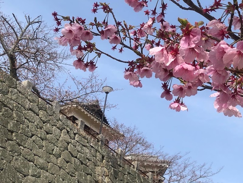 f:id:fabifuten:20220328100250j:plain