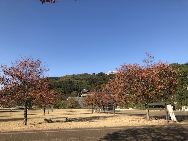 桜の紅葉