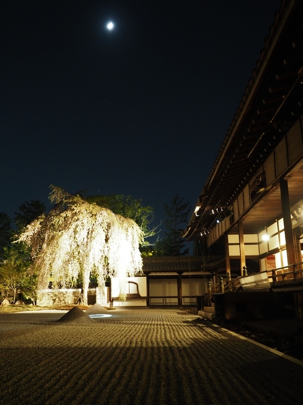 イメージ 15