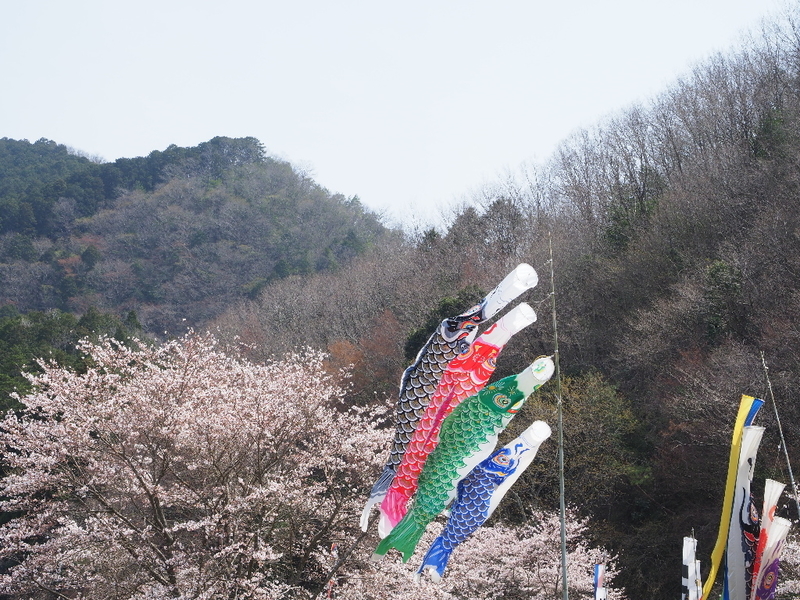 イメージ 20
