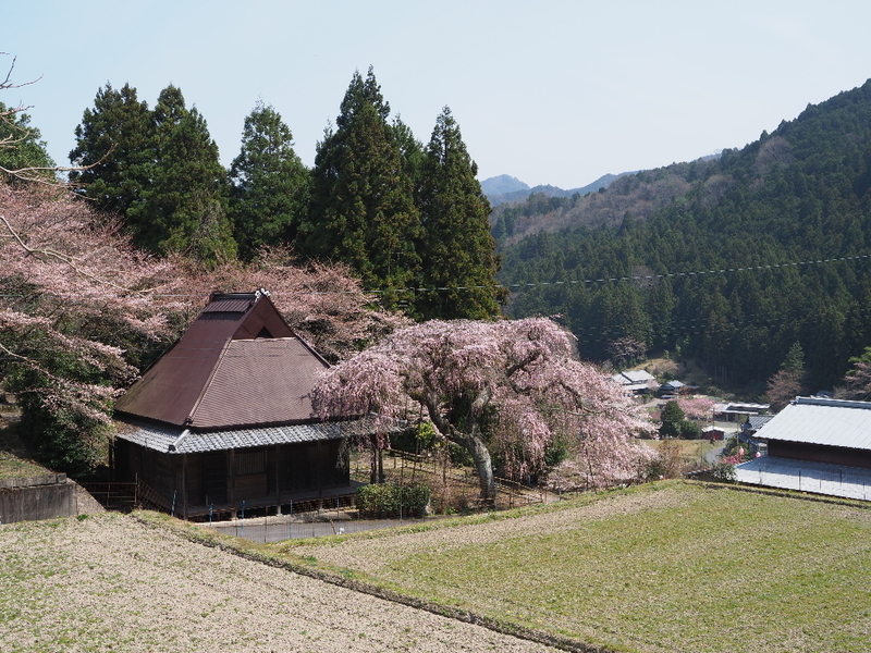 イメージ 5