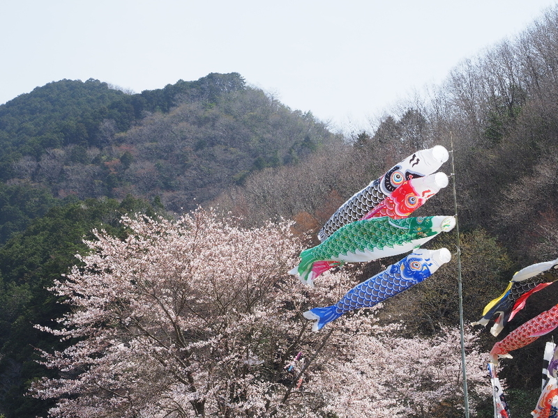 イメージ 1