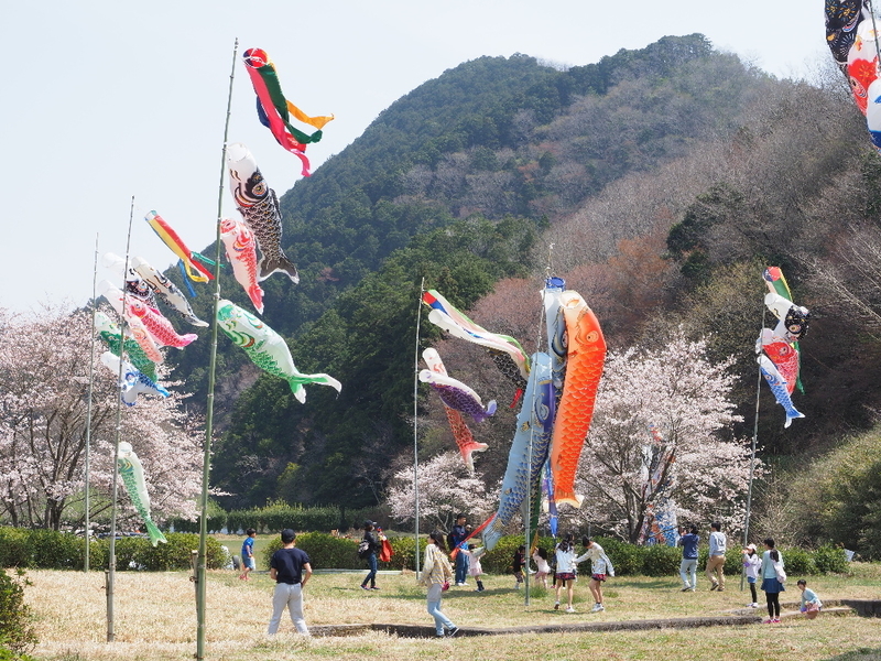 イメージ 2