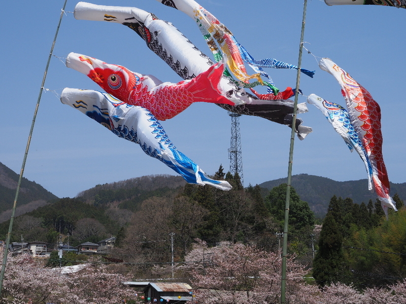 イメージ 5