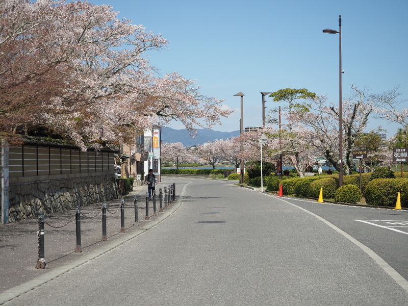 イメージ 14
