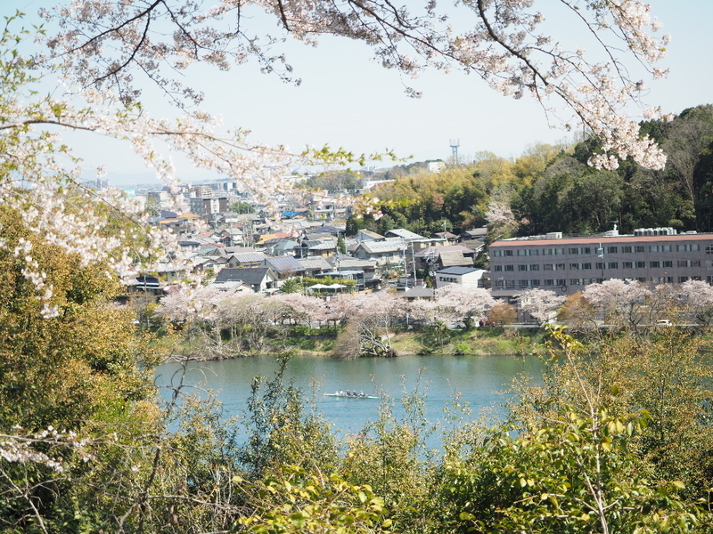 イメージ 10