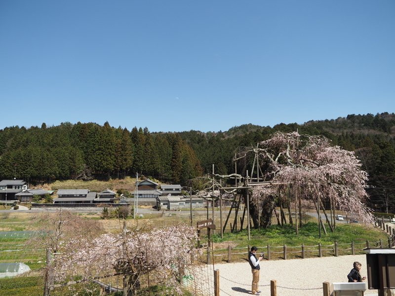 イメージ 3