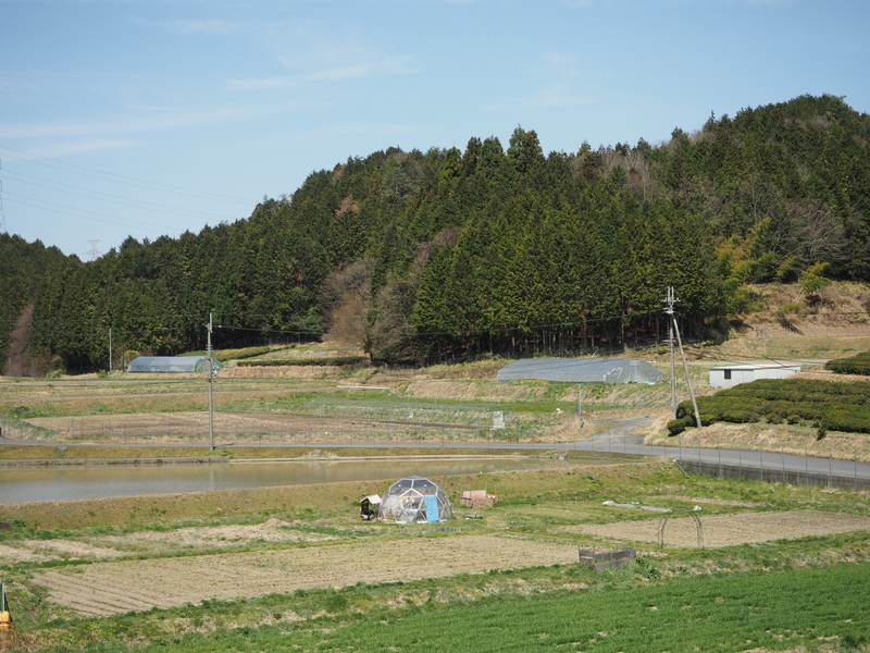 イメージ 7