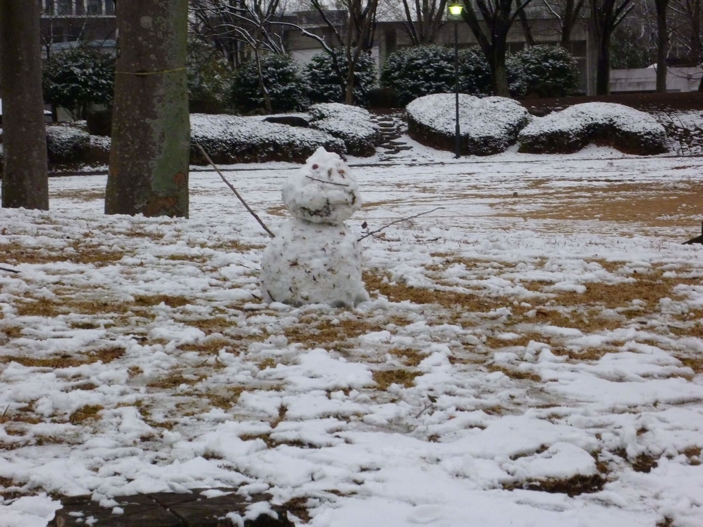f:id:fabonya:20190212163444j:plain 筑波の雪だるま