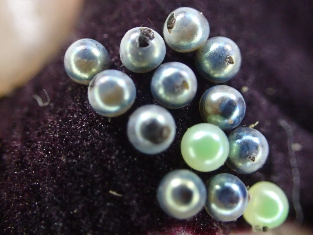 f:id:fabreimomushi:20180423182239j:plain f:id:fabreimomushi:20180423182239j:plain