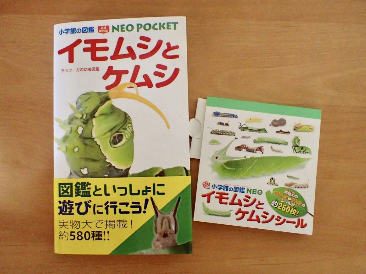 小学館 Neo Pocket イモムシとケムシ 図鑑 虫のあれこれ 時々書評