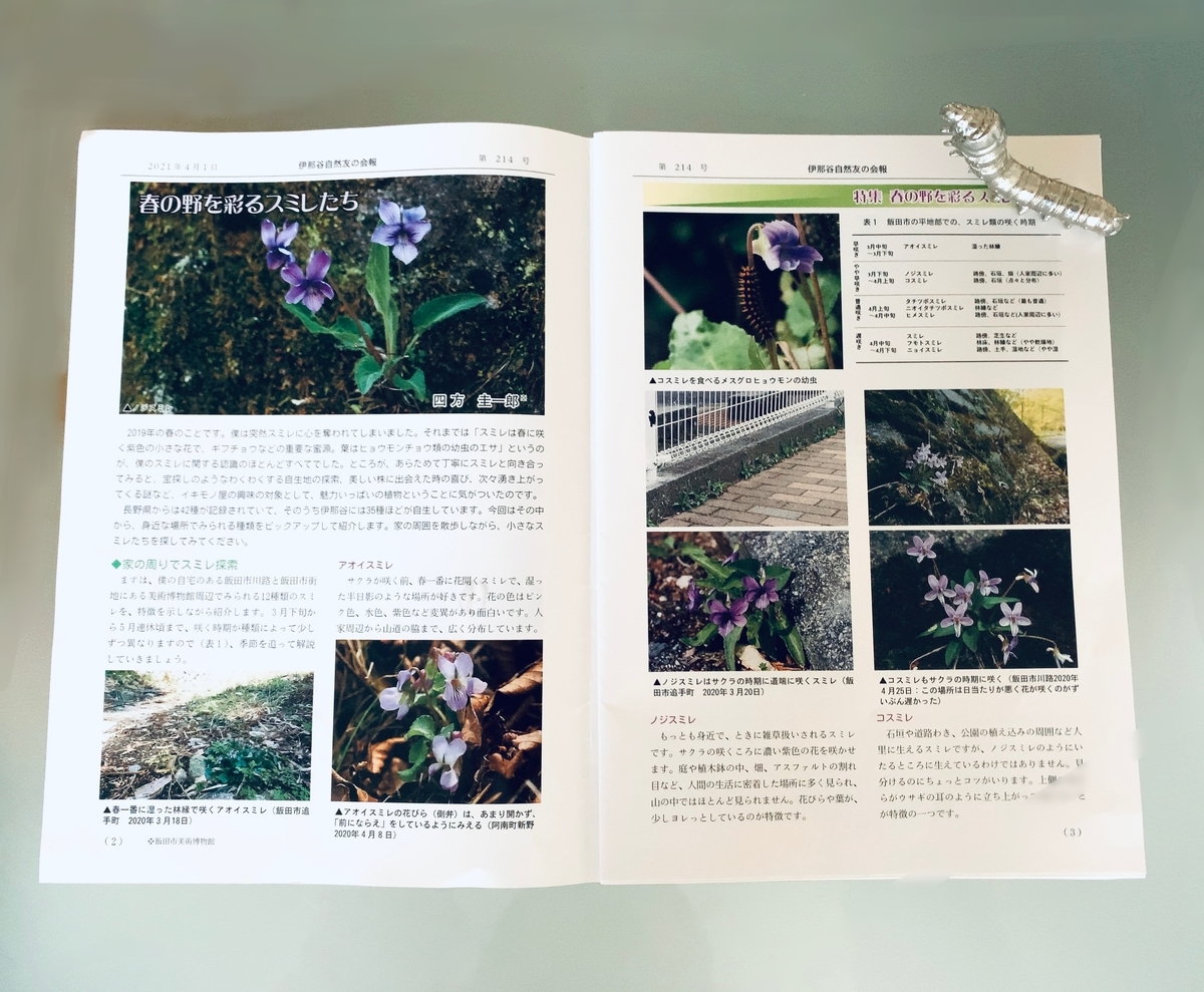 f:id:fabreimomushi:20210411213717j:plain