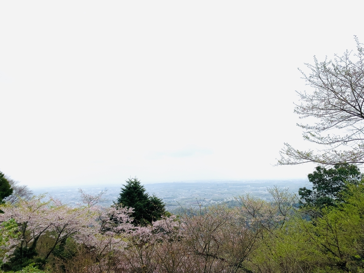 f:id:fabreimomushi:20210411214350j:plain