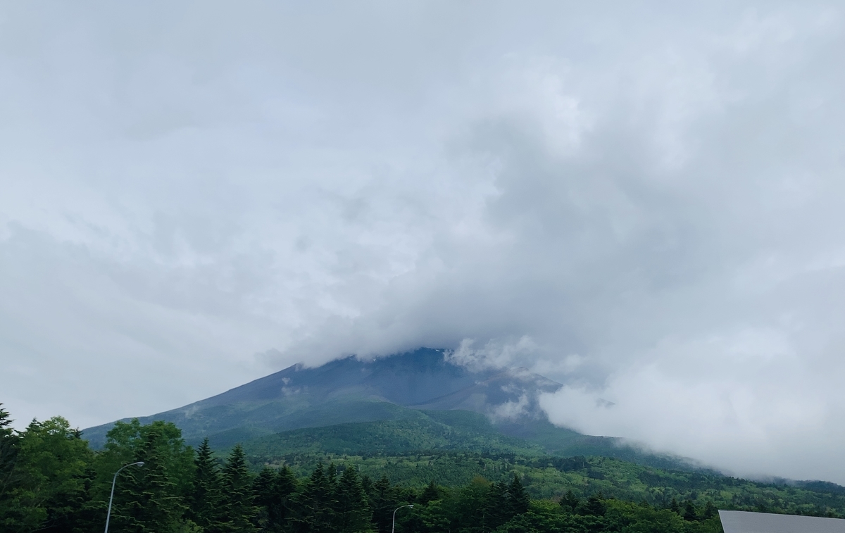 f:id:fabreimomushi:20210704145847j:plain