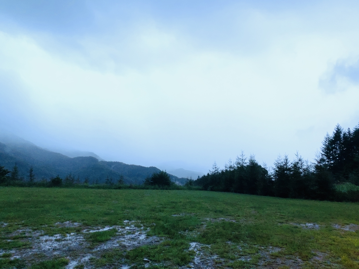 f:id:fabreimomushi:20210913211935j:plain