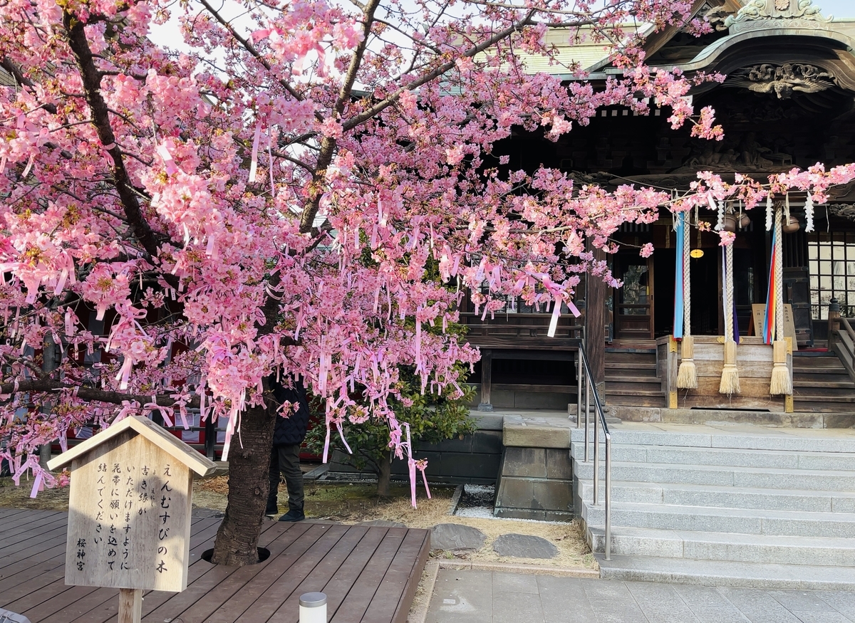 f:id:fabreimomushi:20220312170332j:plain