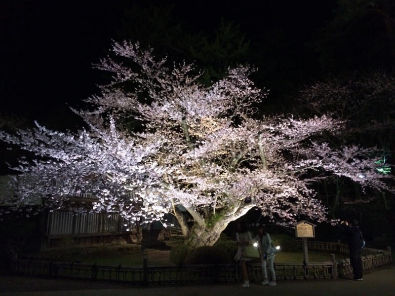 f:id:face_urbansoul:20150421191807j:plain