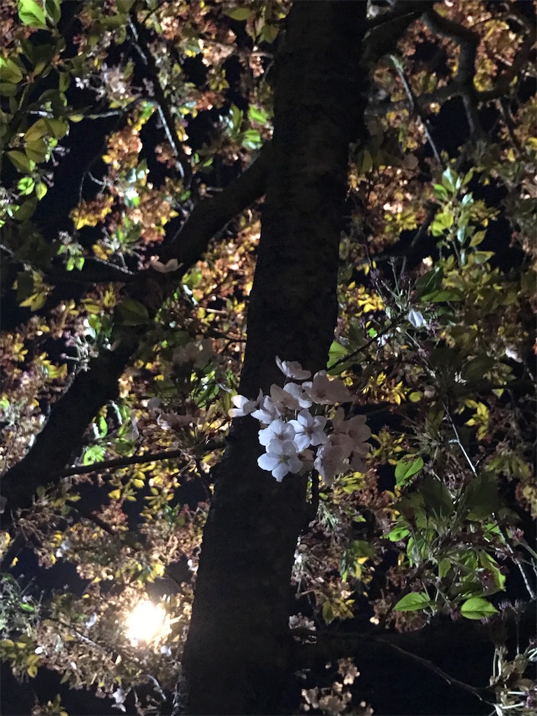 f:id:face_urbansoul:20180429220251j:image f:id:face_urbansoul:20180429220251j:image
