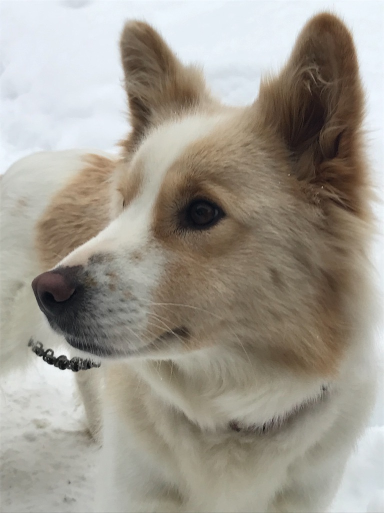 f:id:face_urbansoul:20190104075252j:image