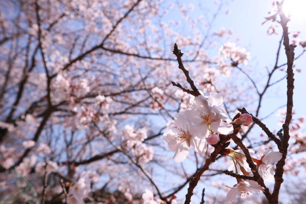 f:id:factorylabel:20180330223742j:plain