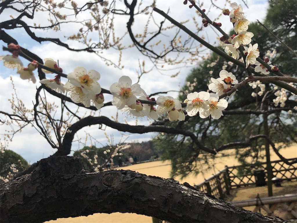 f:id:factorytmaru:20200301104903j:image