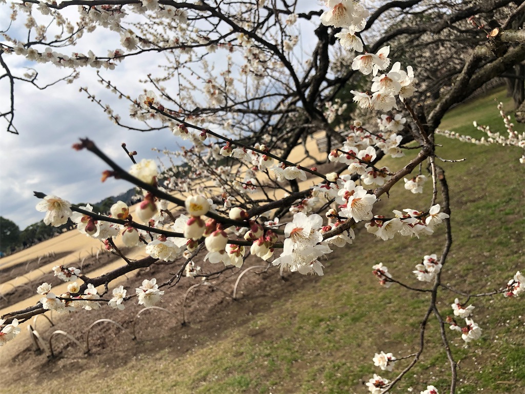 f:id:factorytmaru:20200301104914j:image