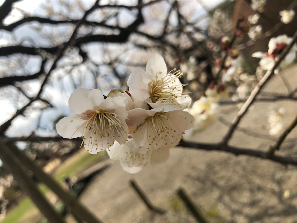 f:id:factorytmaru:20200301104917j:image