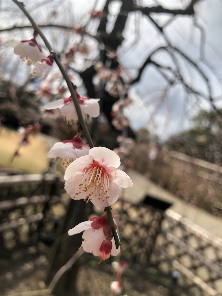 f:id:factorytmaru:20200301104920j:image