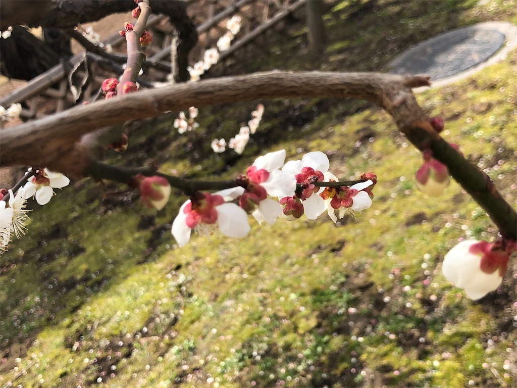 f:id:factorytmaru:20200301104923j:image