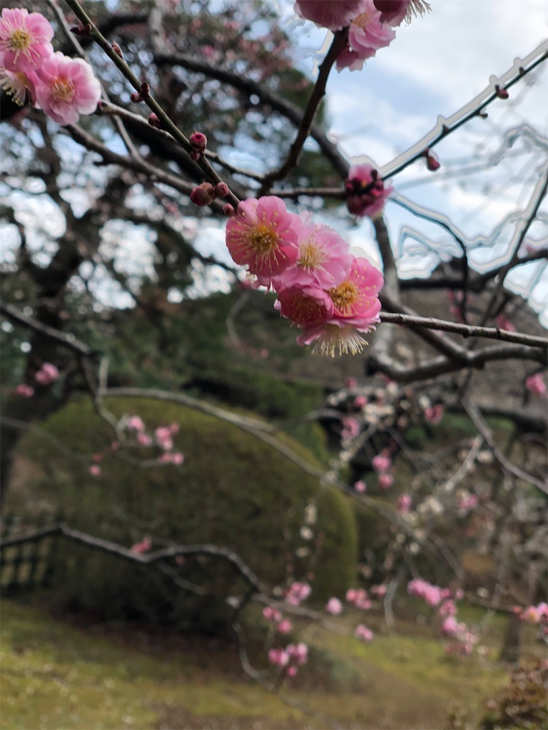 f:id:factorytmaru:20200301105357j:image