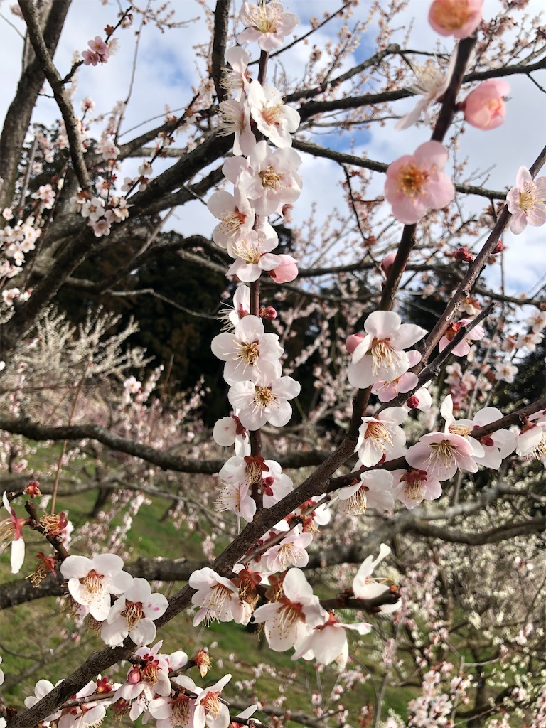 f:id:factorytmaru:20200301105411j:image