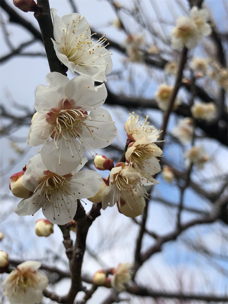 f:id:factorytmaru:20200301105426j:image