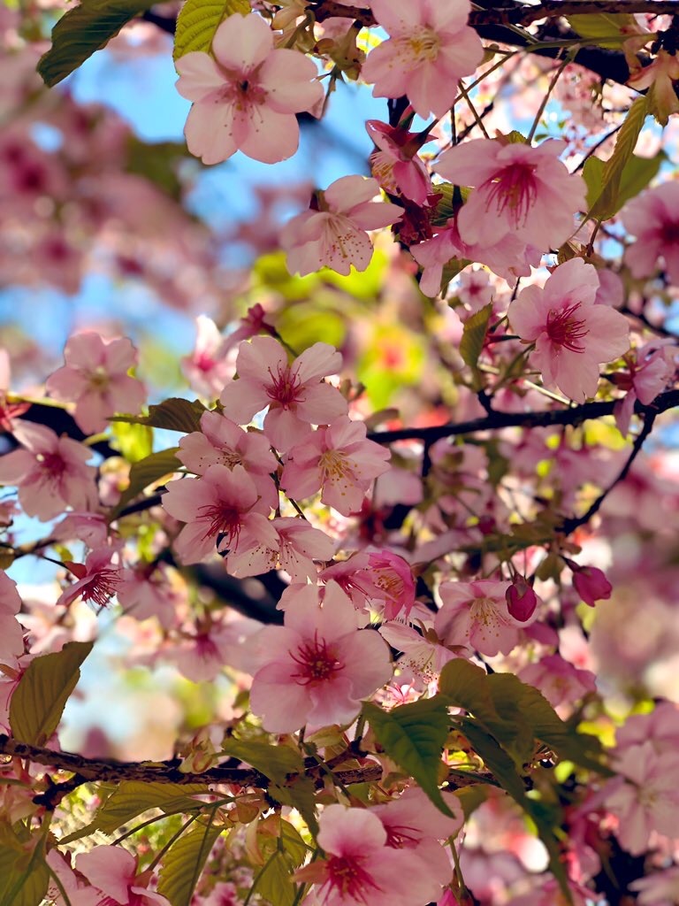 f:id:factorytmaru:20200421220654j:image