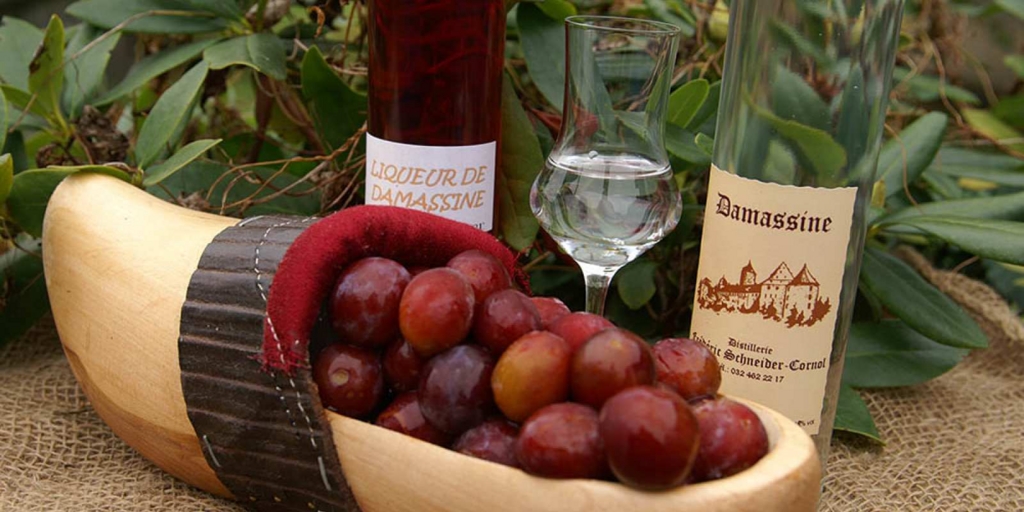 f:id:faess-gi-sepp:20161028003941j:plain