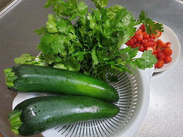 家庭菜園で収穫した夏野菜 半分青くて半分タイ
