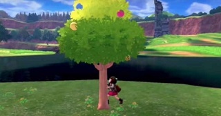 ポケモン剣盾 ワイルドエリアの仕様紹介 ポケモンソードシールドの違いがヤバイ