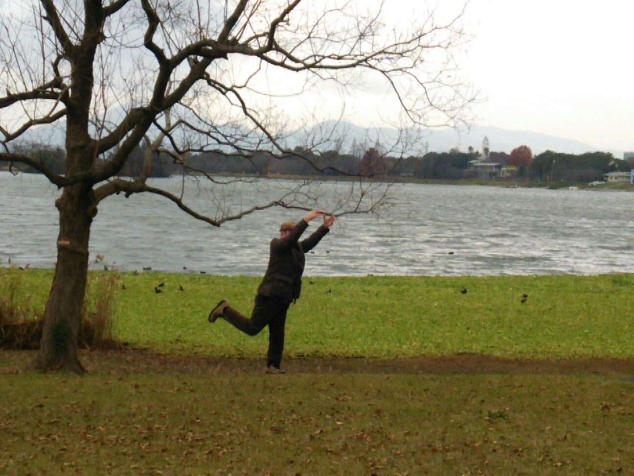 f:id:faimil:20161226184707j:image