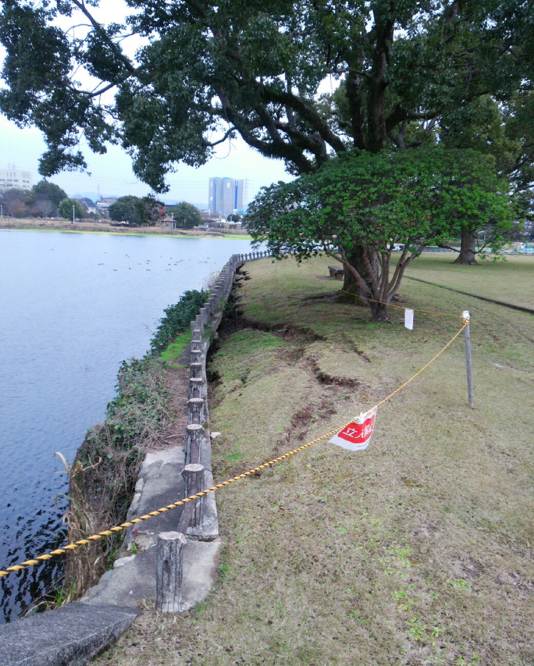 f:id:faimil:20161226190141j:image