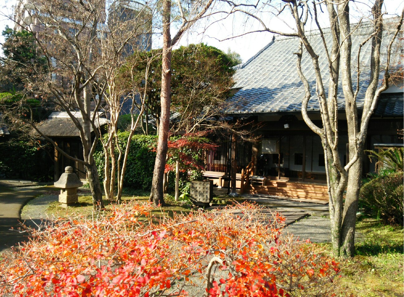 f:id:faimil:20170103184943j:image