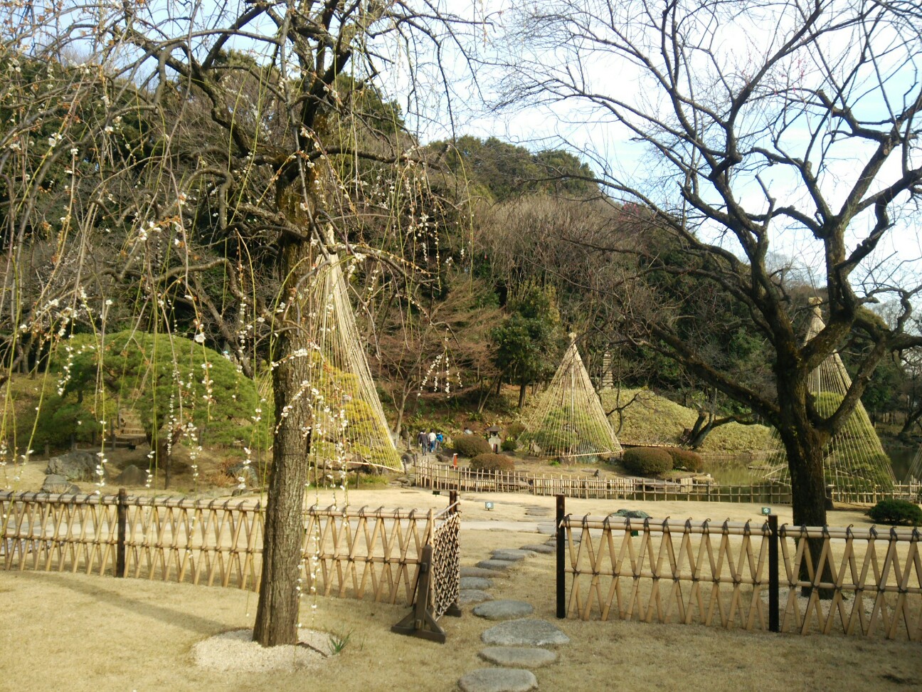 f:id:faimil:20170309185450j:image