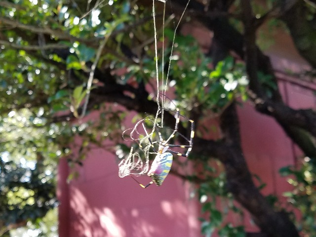 f:id:faimil:20180118215514j:image