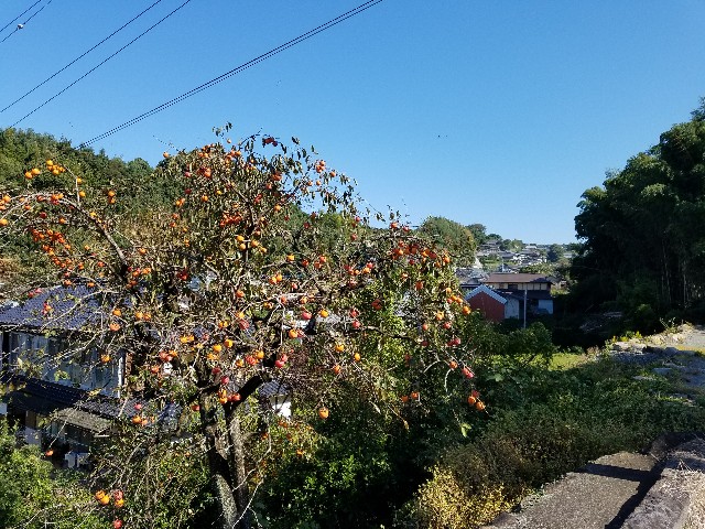 f:id:faimil:20180119073206j:image f:id:faimil:20180119073206j:image