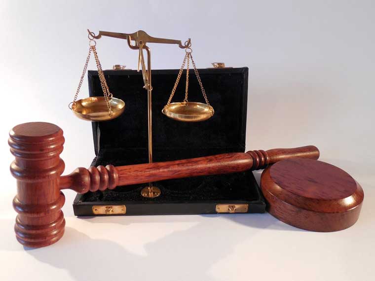 f:id:fair-trial:20220212142829j:plain