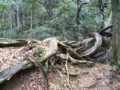 20100206200937