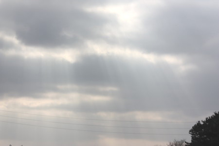f:id:fairy_leaf:20100228213643j:image