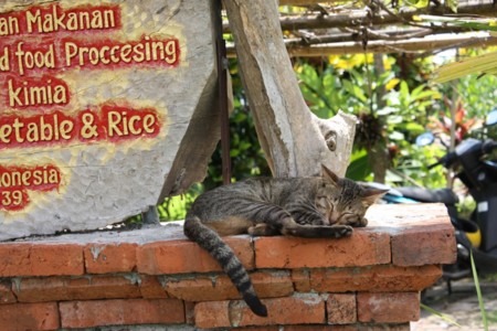 f:id:fairy_leaf:20110305103707j:image f:id:fairy_leaf:20110305103707j:image