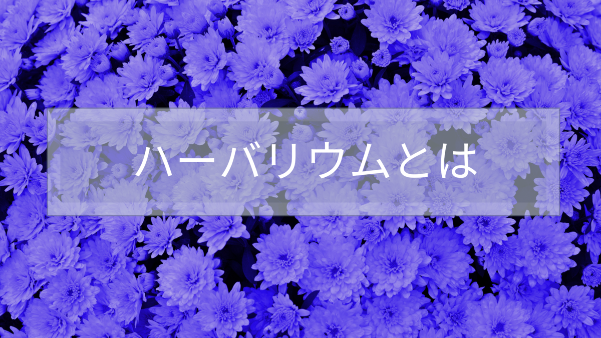 f:id:fairysgarden:20210202144914p:plain