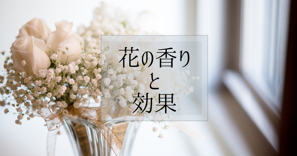 f:id:fairysgarden:20210310153132p:plain