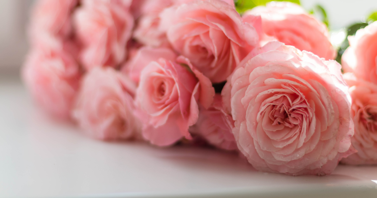 f:id:fairysgarden:20210310154845p:plain