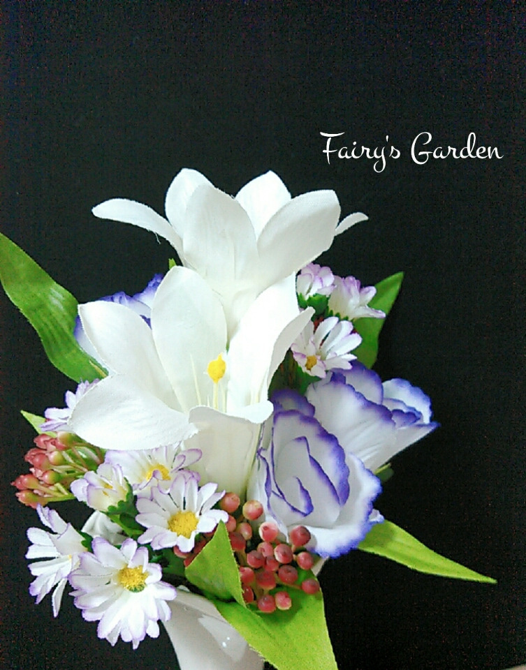 f:id:fairysgarden:20210318063046j:plain